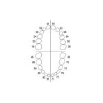 Frasaco teeth AK6
